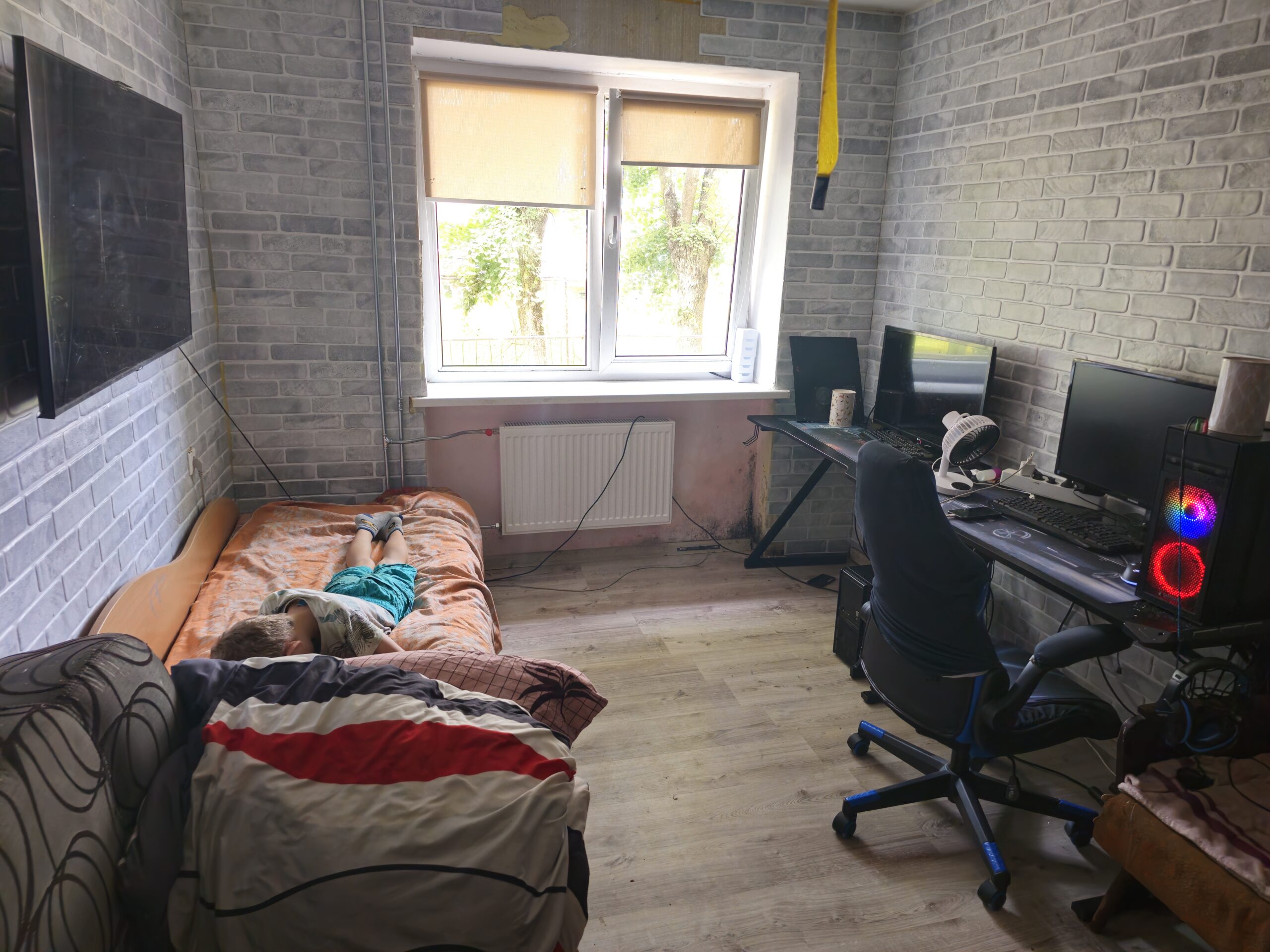 Juodasis pelėsis namuose