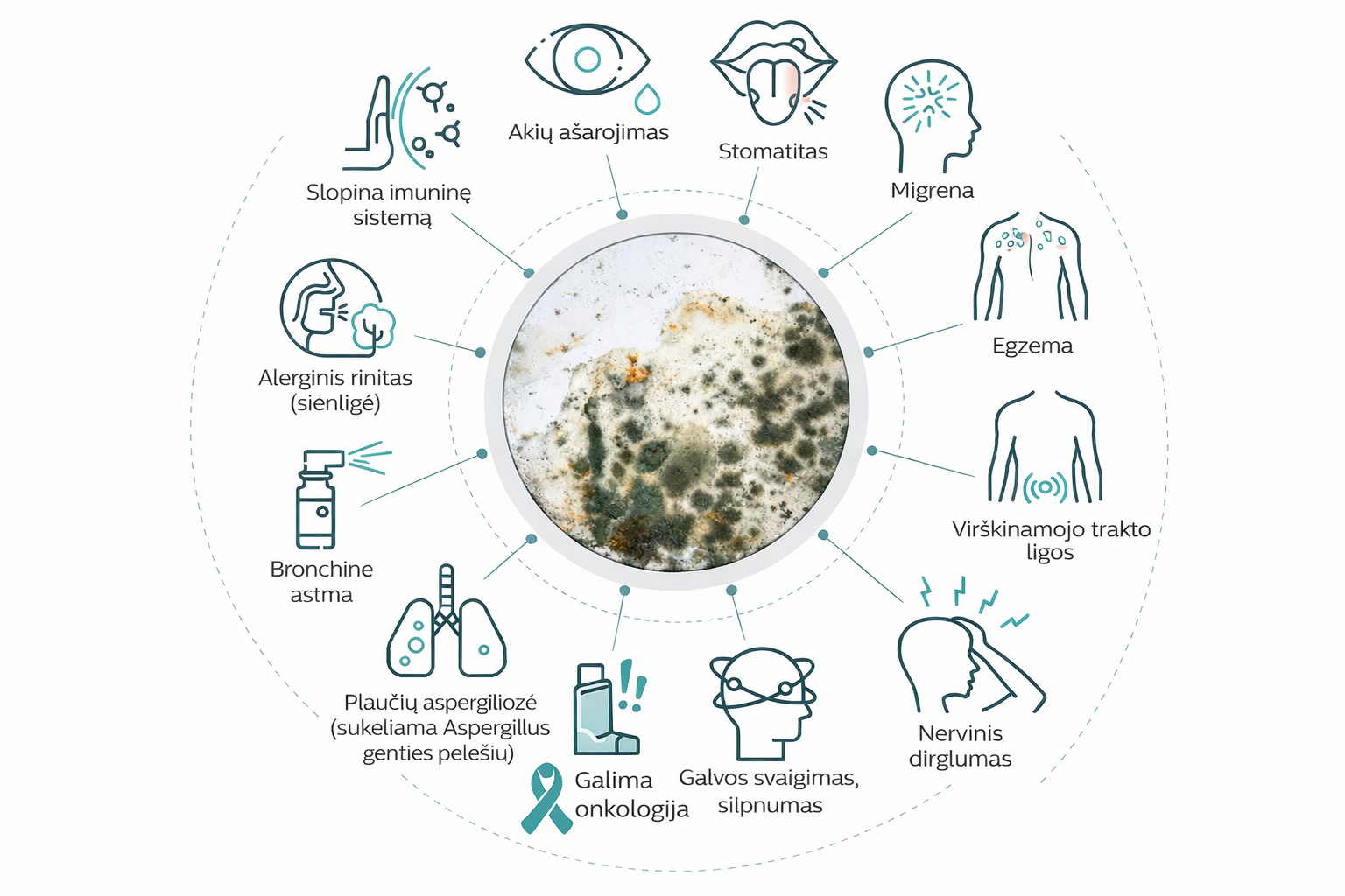 Juodojo pelėsio poveikis žmogaus sveikatai